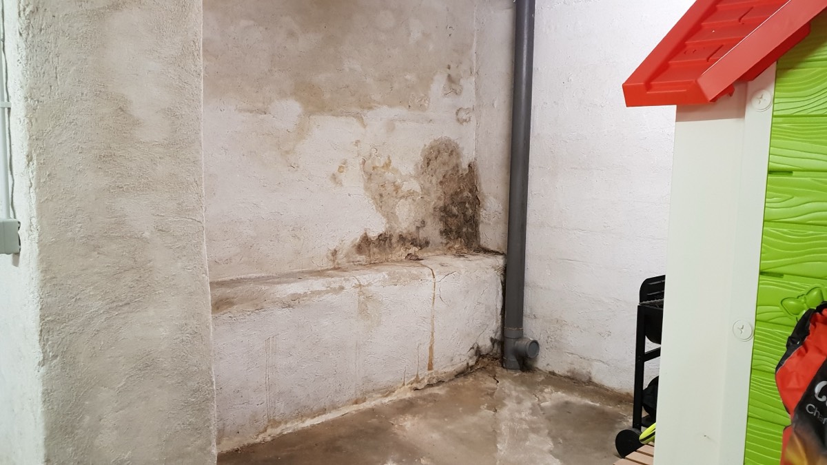 Infiltrations d'eau - Expertise humidité à Reims